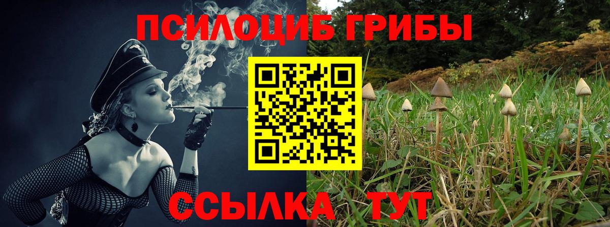 Галлюциногенные грибы Cubensis Феодосия