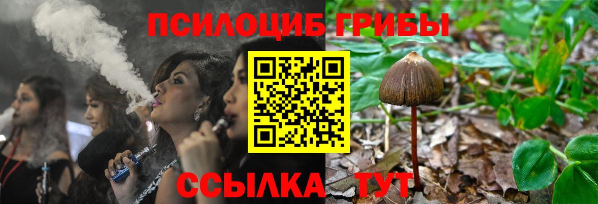 Феодосия  Галлюциногенные грибы Cubensis  Вход с VPN 